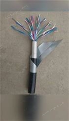 铁路信号电缆PTYA23 PTYA22 PTY