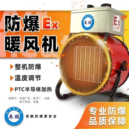 BFM-2EX-LD英鹏防爆落地式暖风机大功率面积烘干取暖器